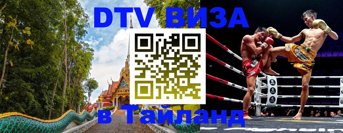 DTV Visa Тайланд купить 